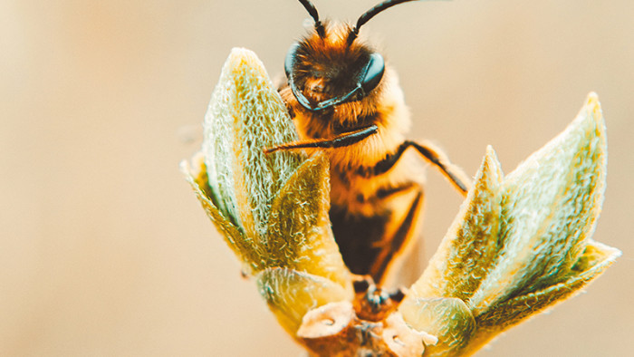 2025 : Cap sur des maisons plus respectueuses de l’environnement !