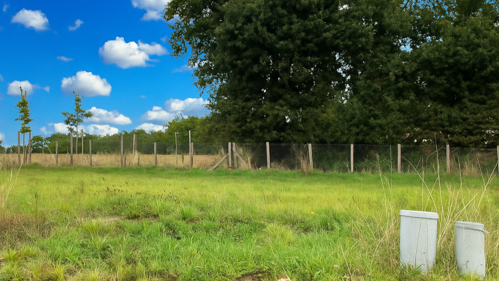 Terrain constructible de 481m2 à Saint-Jean-de-Monts