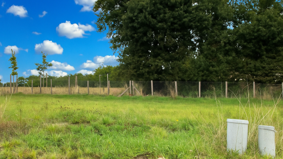 St Georges sept. 2025, 17_19_39.png