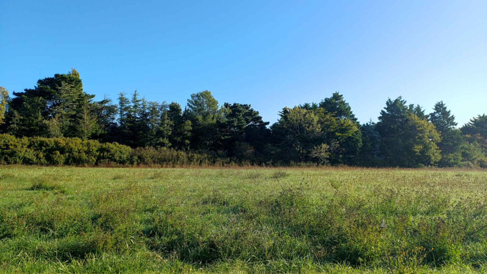 Terrain constructible de 950m2 à Les Sables-d'Olonne