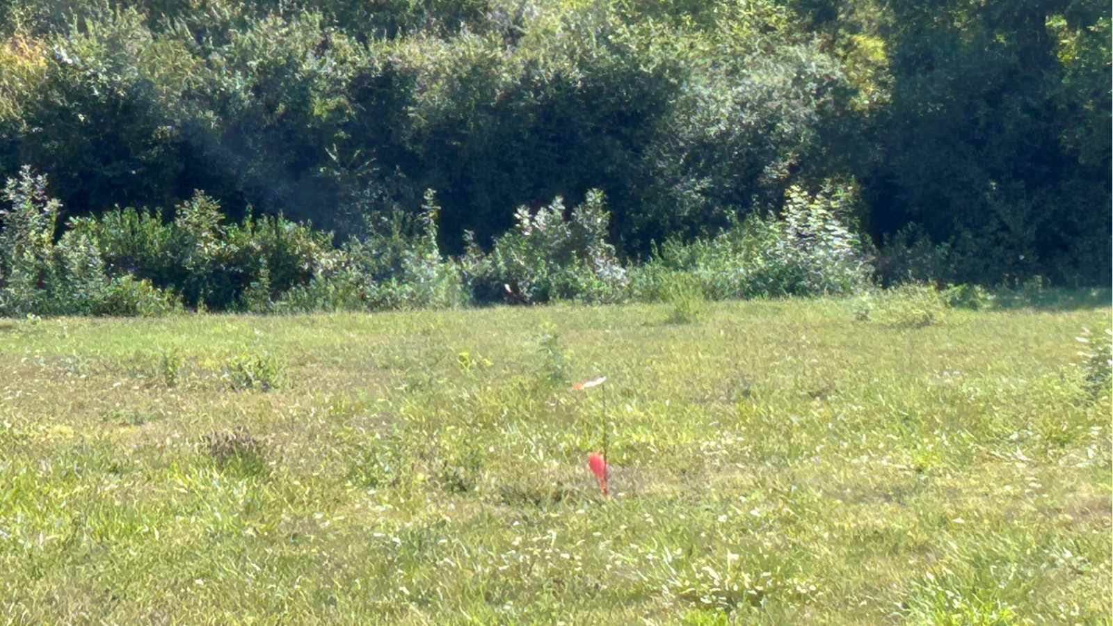 Terrain constructible de 452m2 à La Roche-sur-Yon