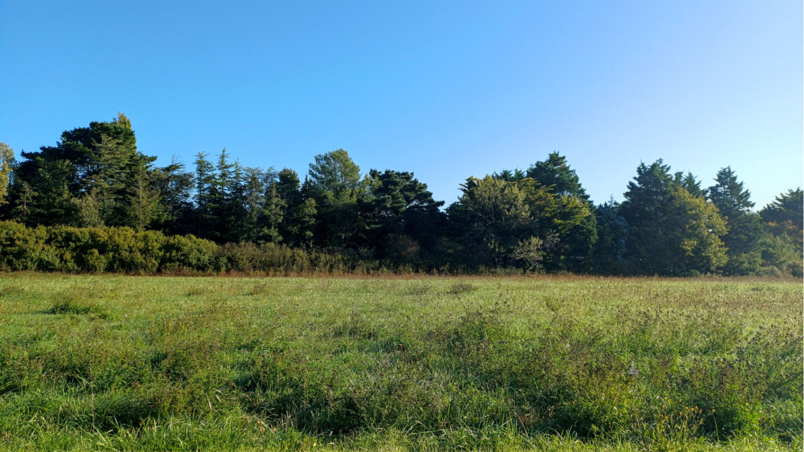 Terrain constructible de 457m2 à Sallertaine