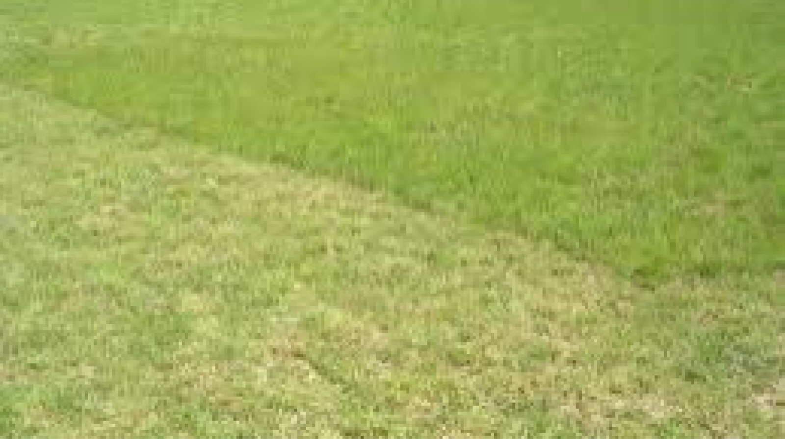 Terrain constructible de 458m2 à Angles