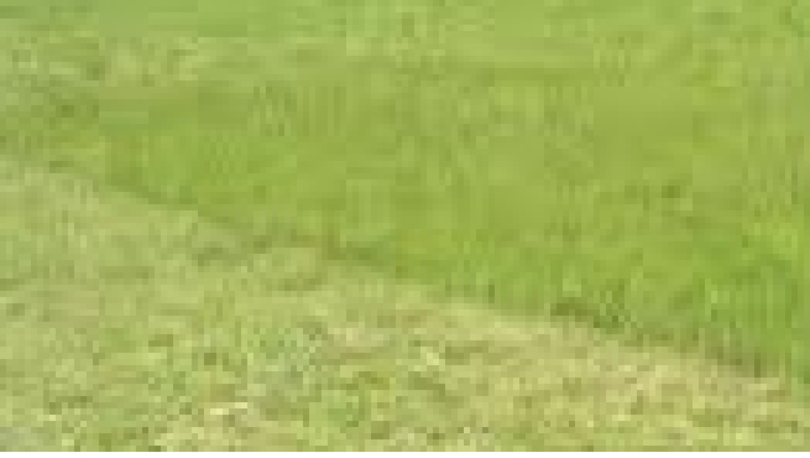 Terrain constructible de 669m2 à Talmont-Saint-Hilaire