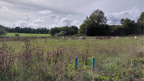 x terrains bornés 2.jpg