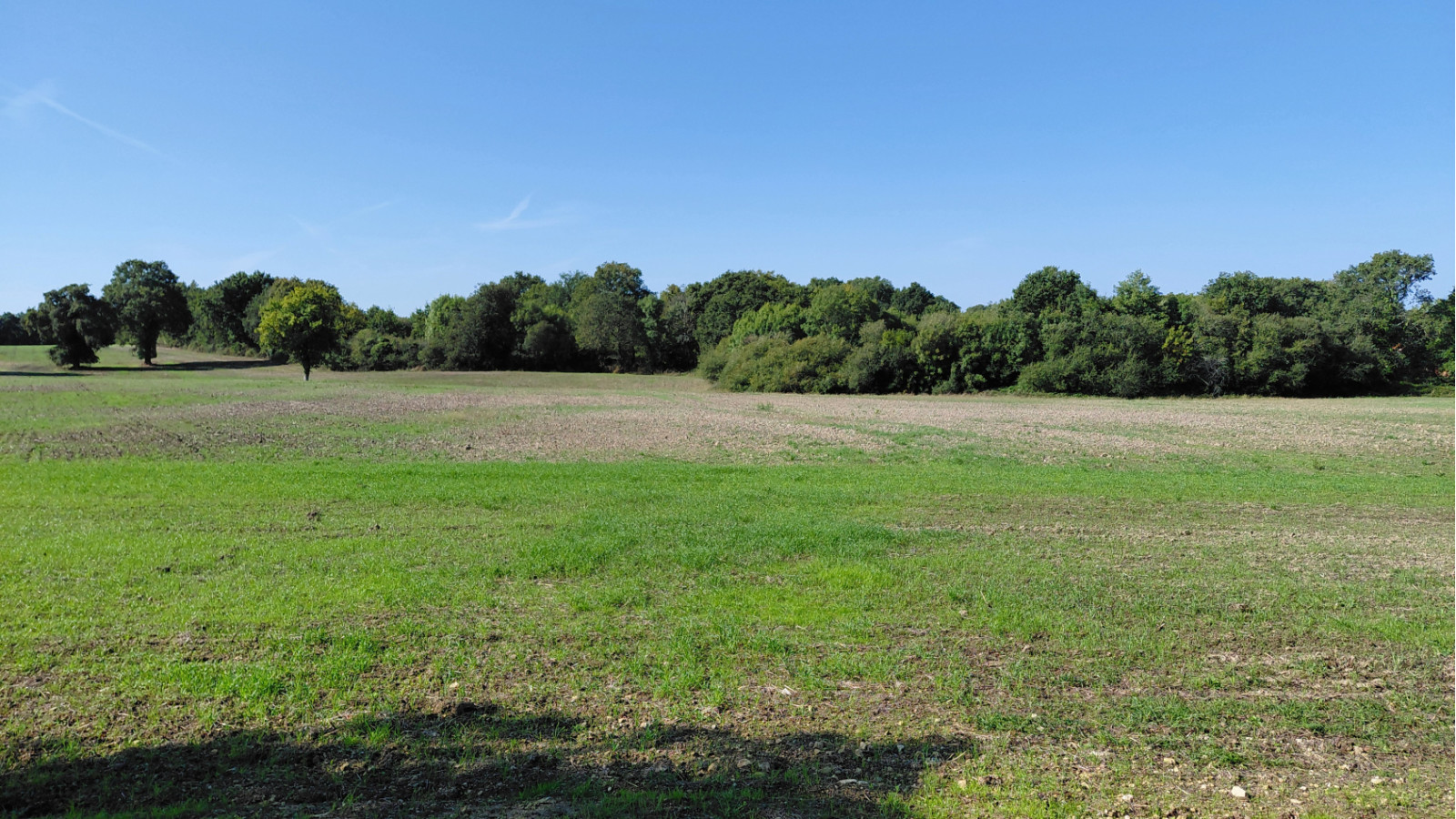 Terrain constructible de 412m2 à Avrillé