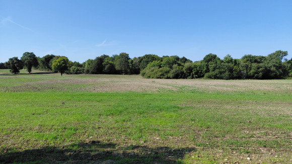 St Avaugourd parc mairie.jpg