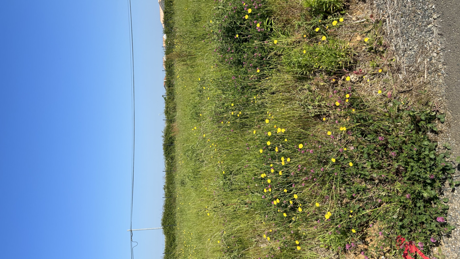 Terrain constructible de 599m2 à Froidfond