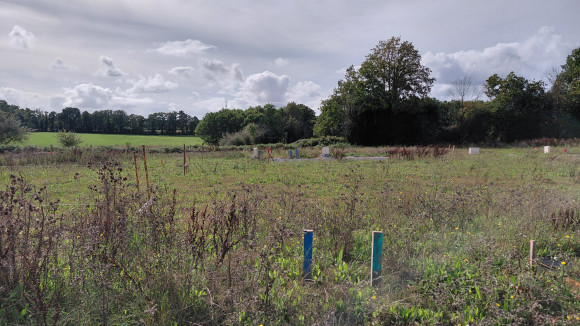 x terrains bornés 2.jpg