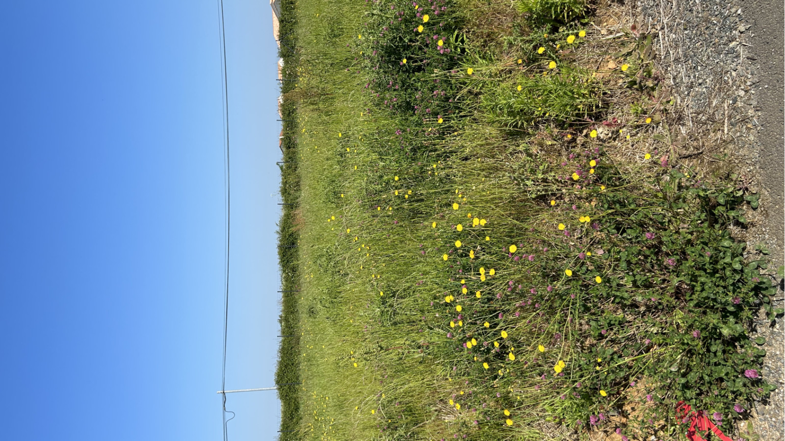 Terrain constructible de 442m2 à Nesmy