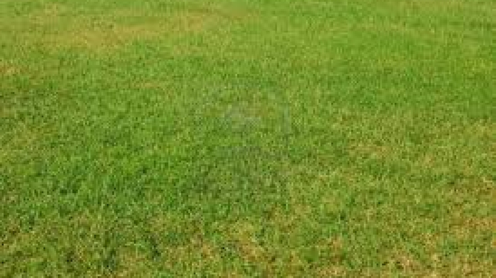 Terrain constructible de 383m2 à Poiroux