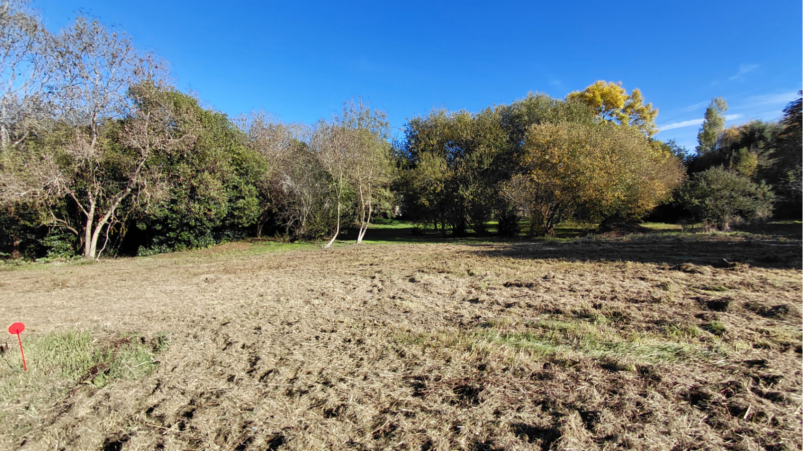 Terrain constructible de 2928m2 à Saint-Cyr-en-Talmondais
