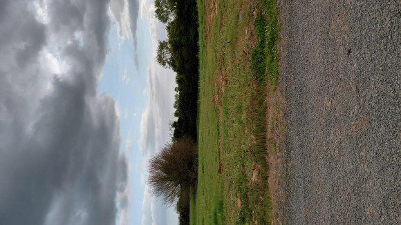 Les Magnils Régniers 3.jpg