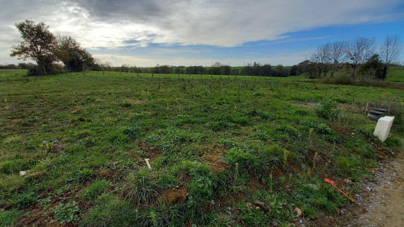 LOT 66 ST FULGENT.jpg