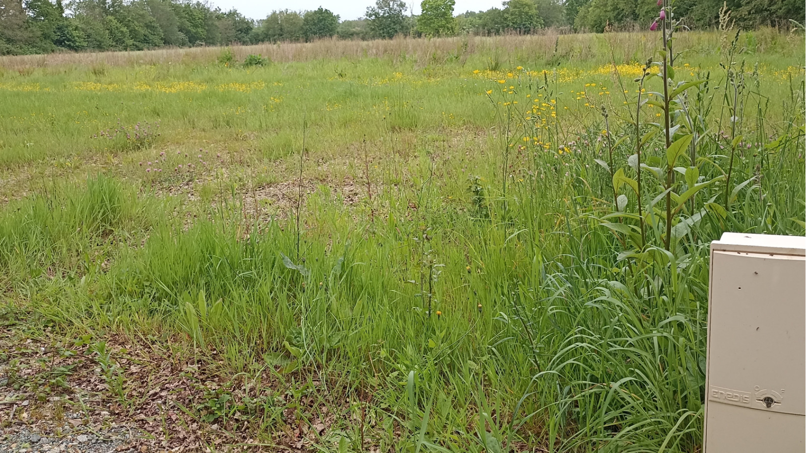 Terrain constructible de 603m2 à La Roche-sur-Yon