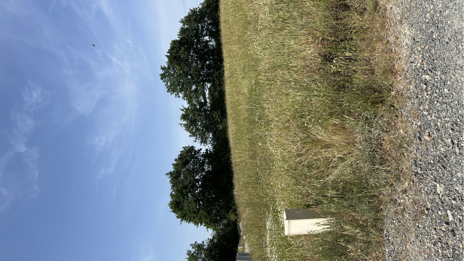 Terrain constructible de 350m2 à Maché