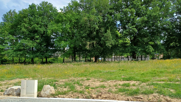 20250509_160902.jpg