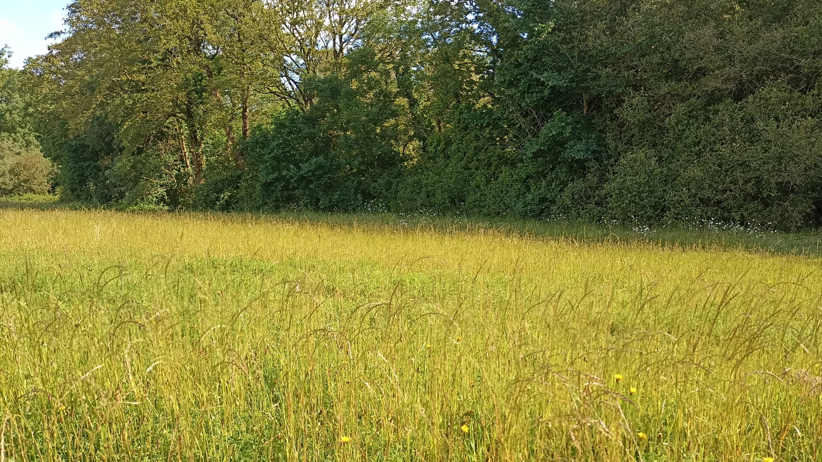 Terrain constructible de 645m2 à Beaulieu-sous-la-Roche