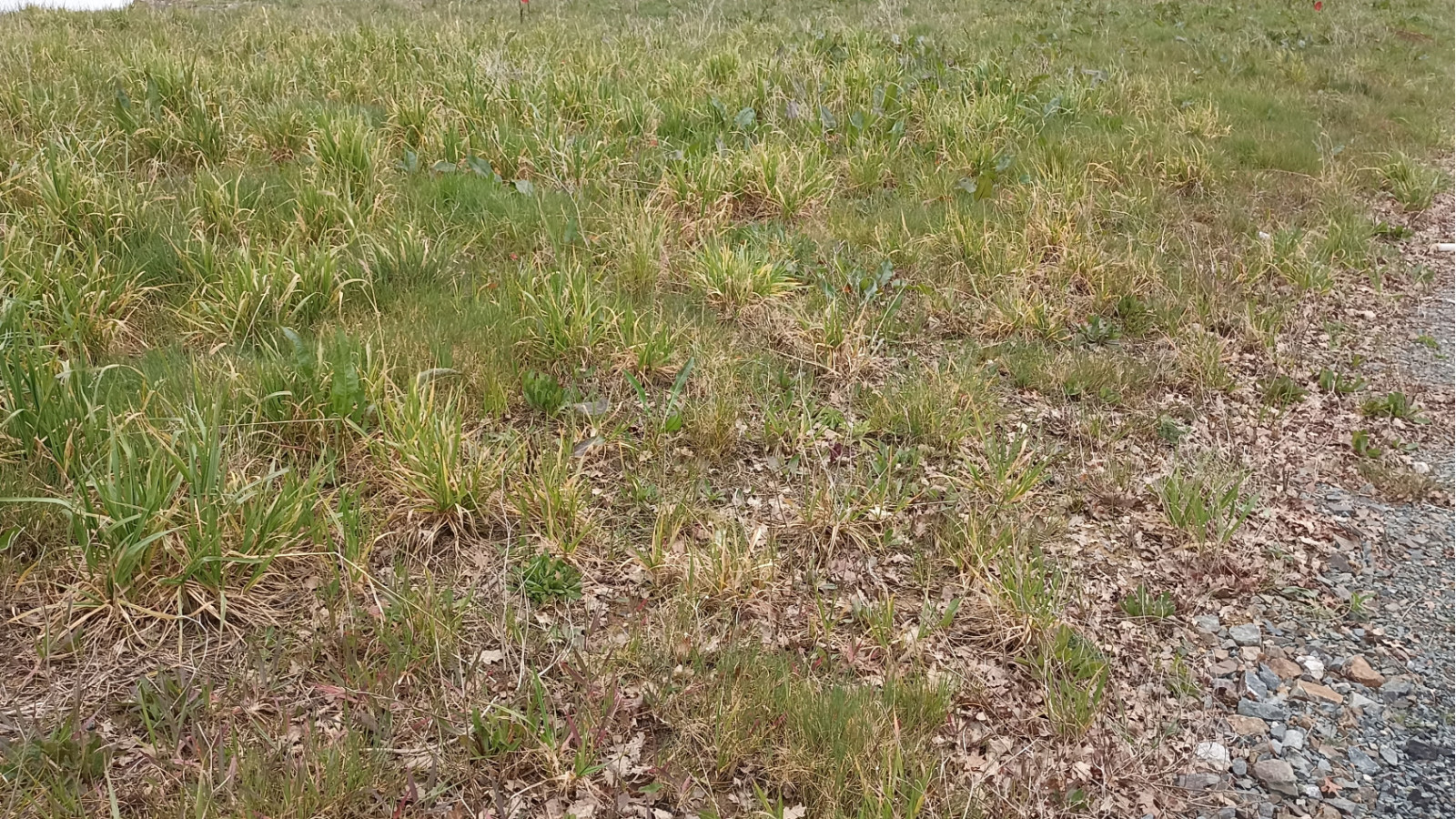Terrain constructible de 265m2 à Chavagnes-en-Paillers