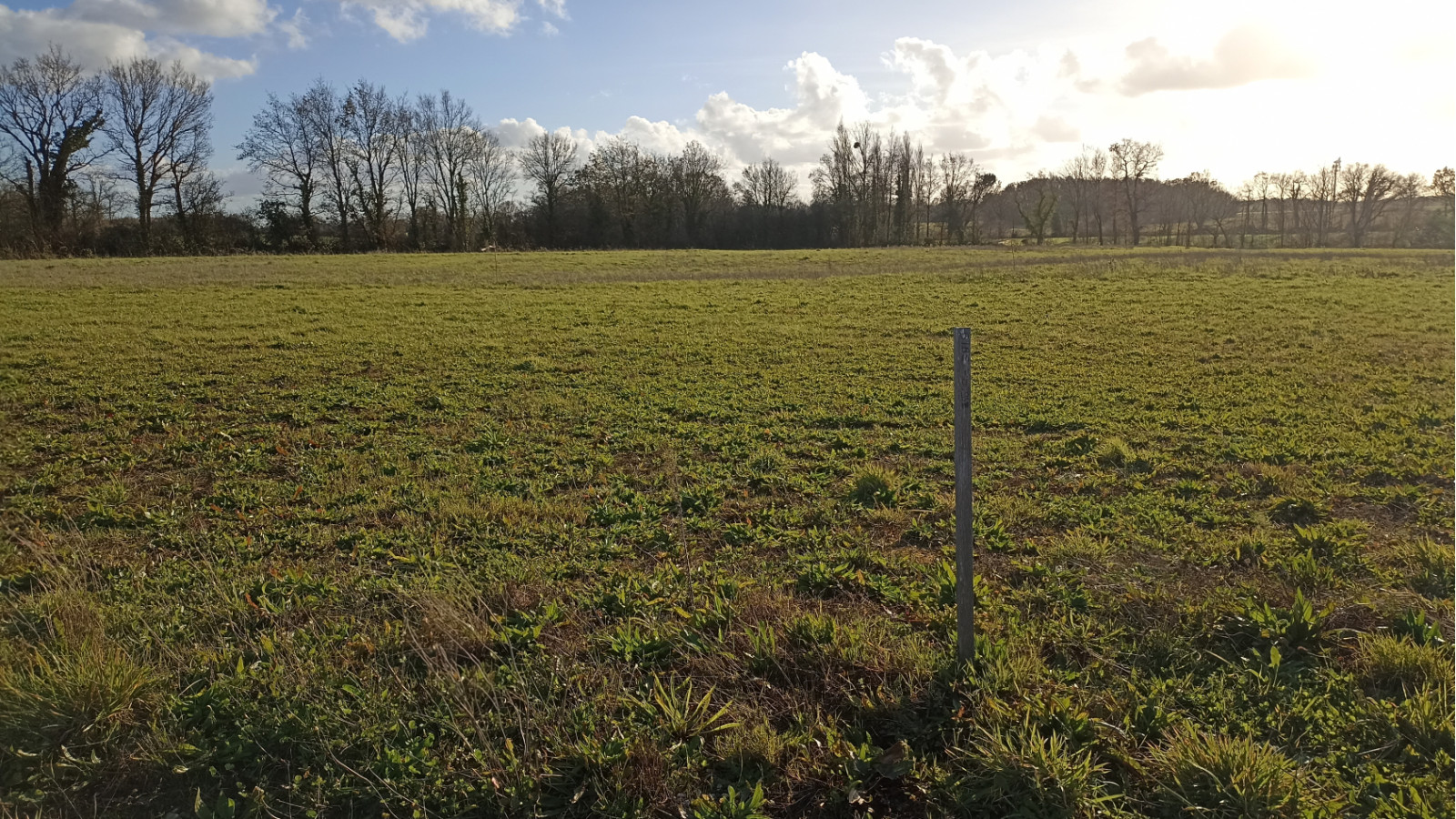 Terrain constructible de 564m2 à Saint-Martin-des-Noyers