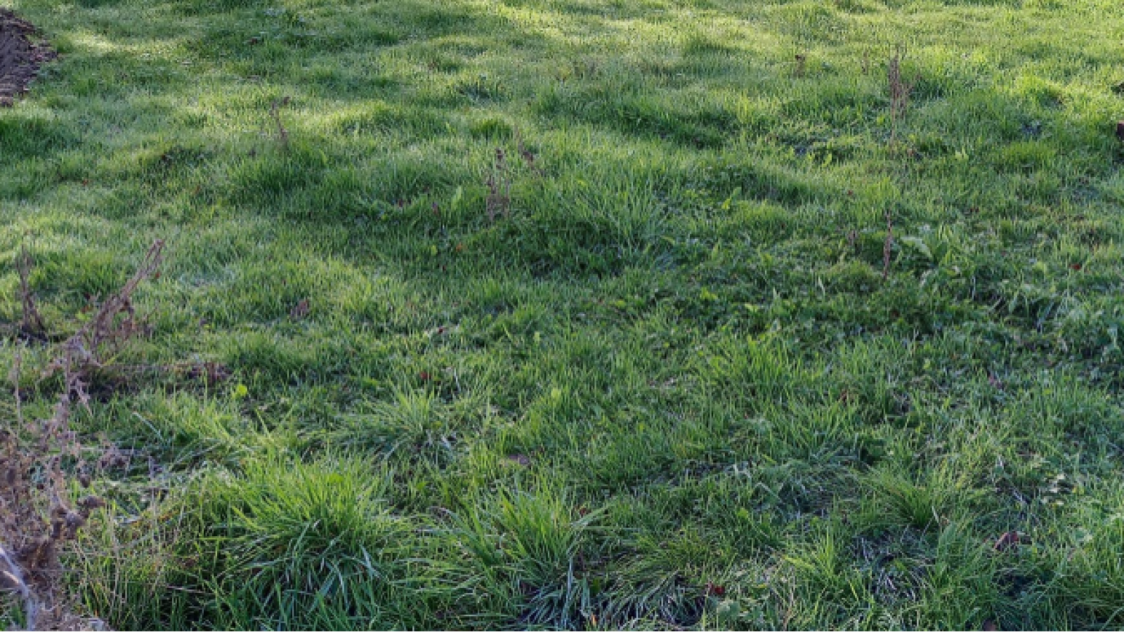 Terrain constructible de 461m2 à Grosbreuil