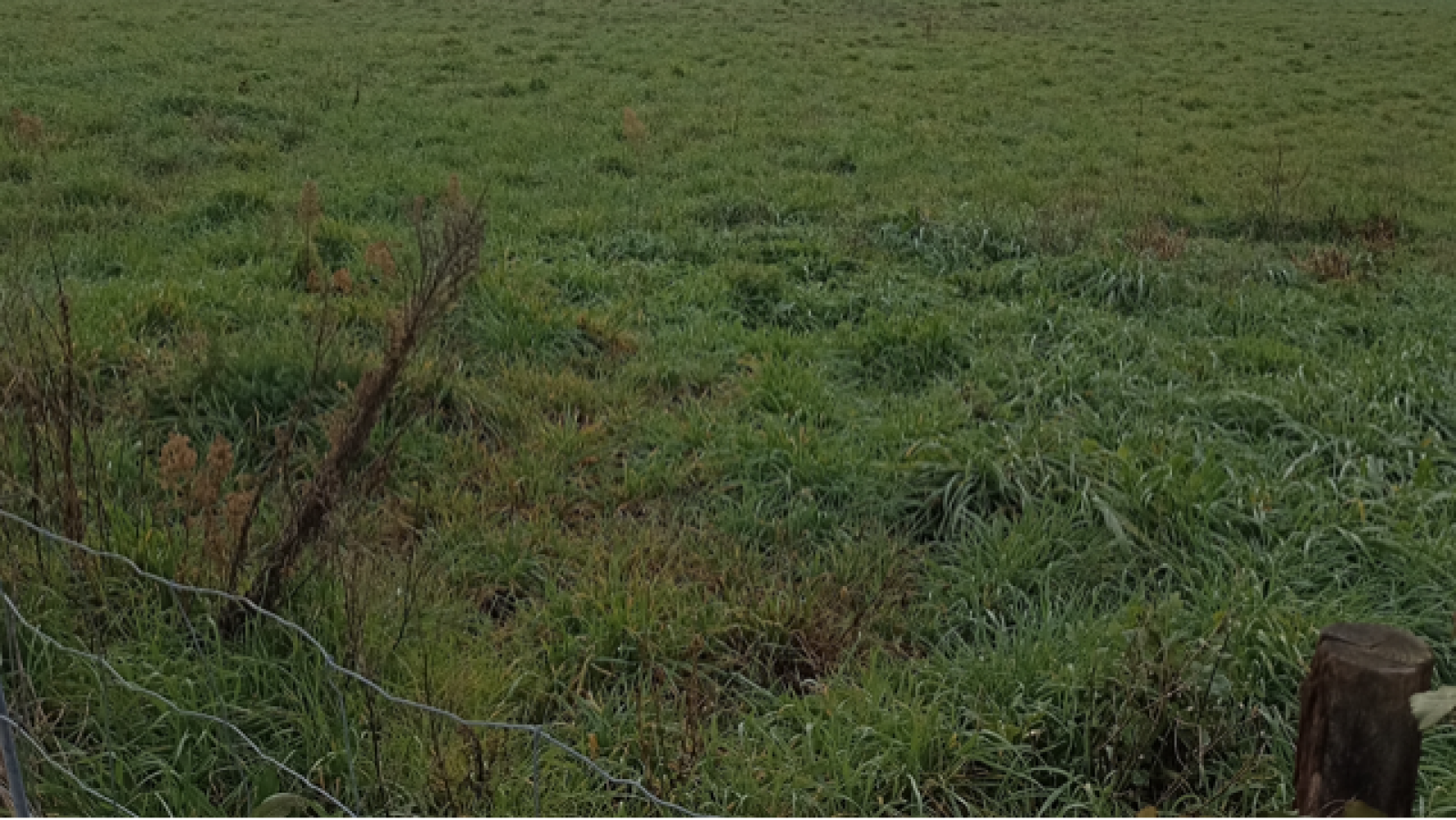 Terrain constructible de 410m2 à Poiroux