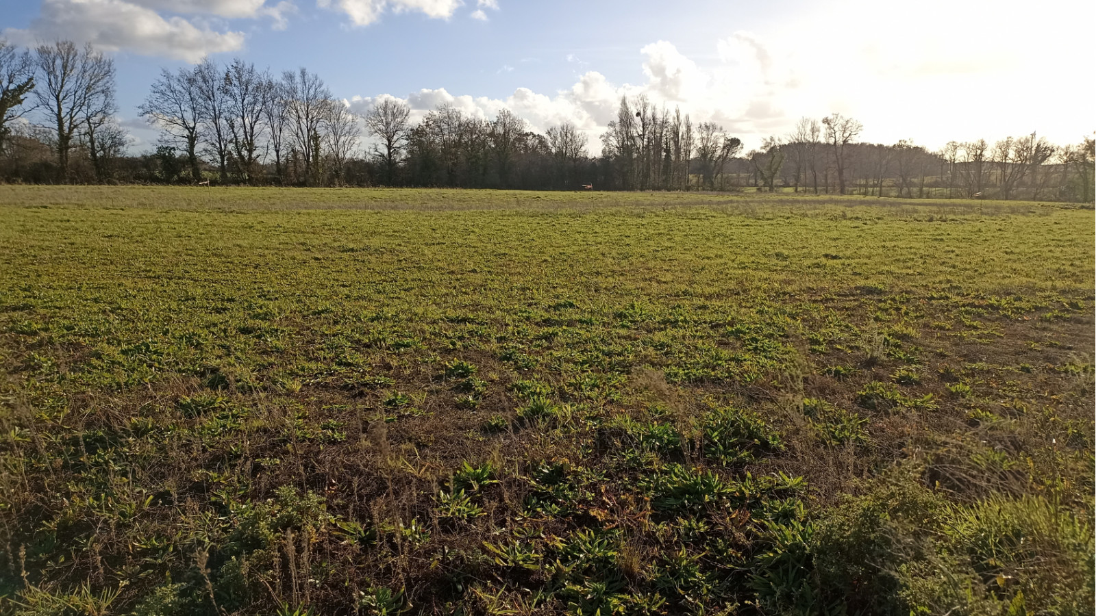 Terrain constructible de 539m2 à La Garnache