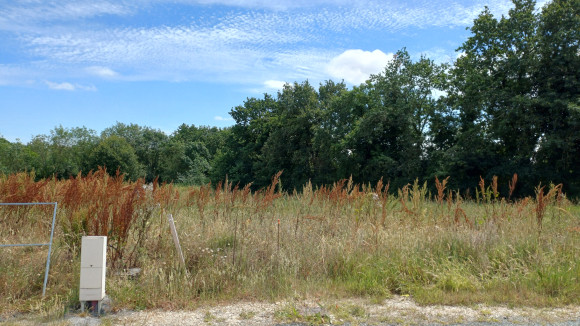20260601_143926.jpg