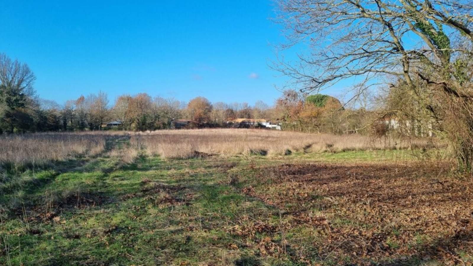 Terrain constructible de 537m2 à Sainte-Foy