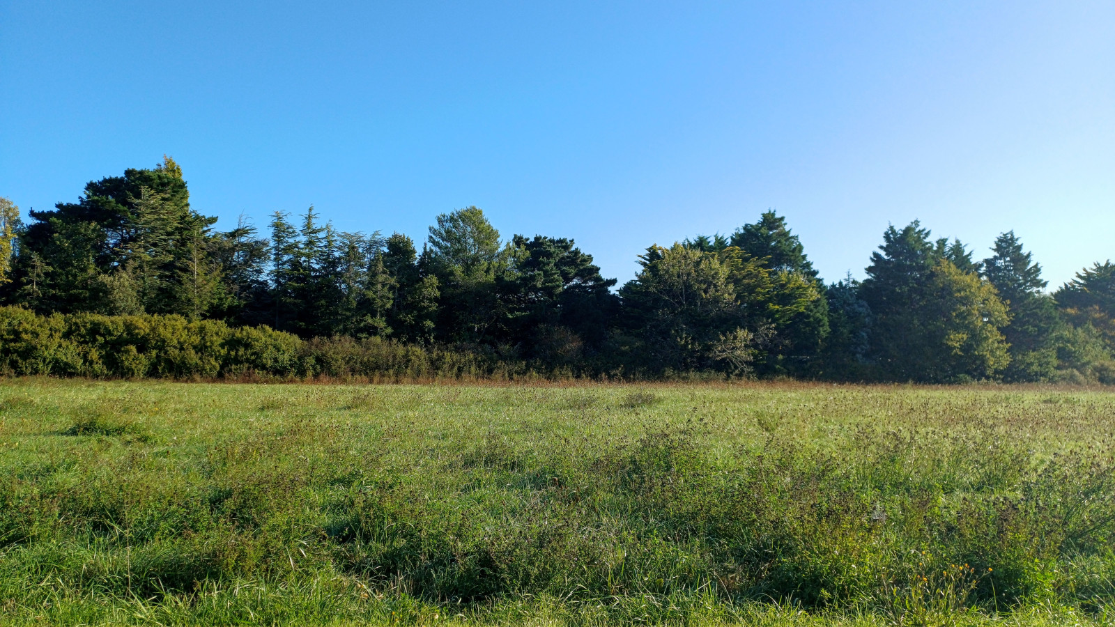 Terrain constructible de 637m2 à Beauvoir-sur-Mer