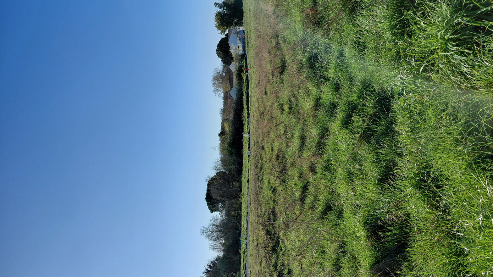 Terrain constructible de 370m2 à Saint-Hilaire-la-Forêt