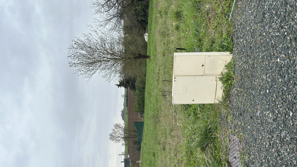 affa9.jpg