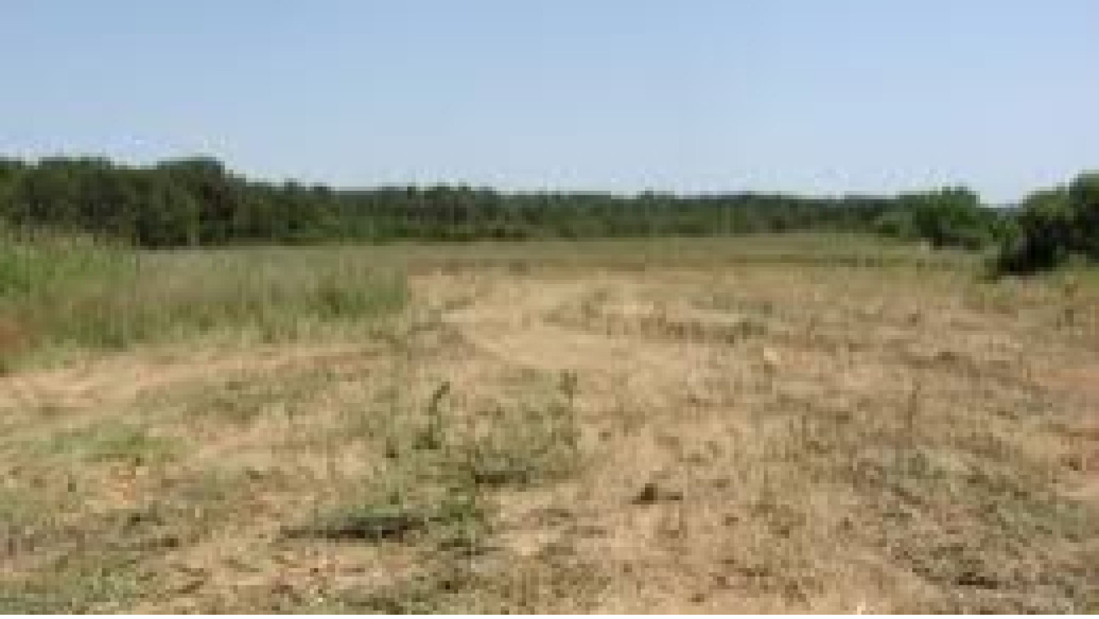 Terrain constructible de 438m2 à Bellevigny