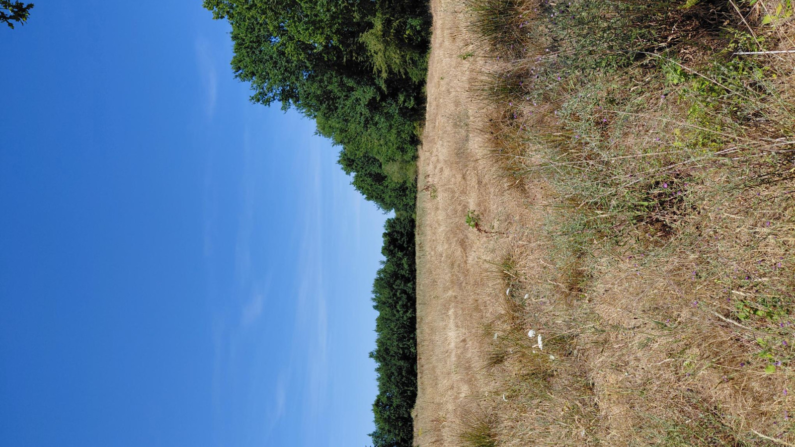 Terrain constructible de 805m2 à La Roche-sur-Yon