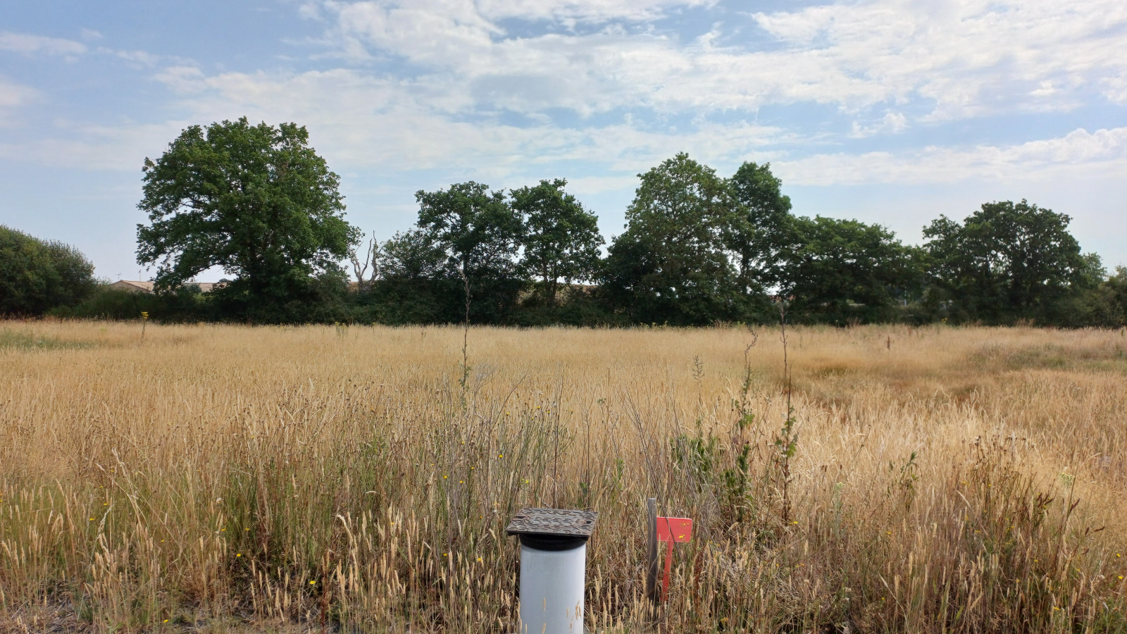 Terrain constructible de 310m2 à Apremont