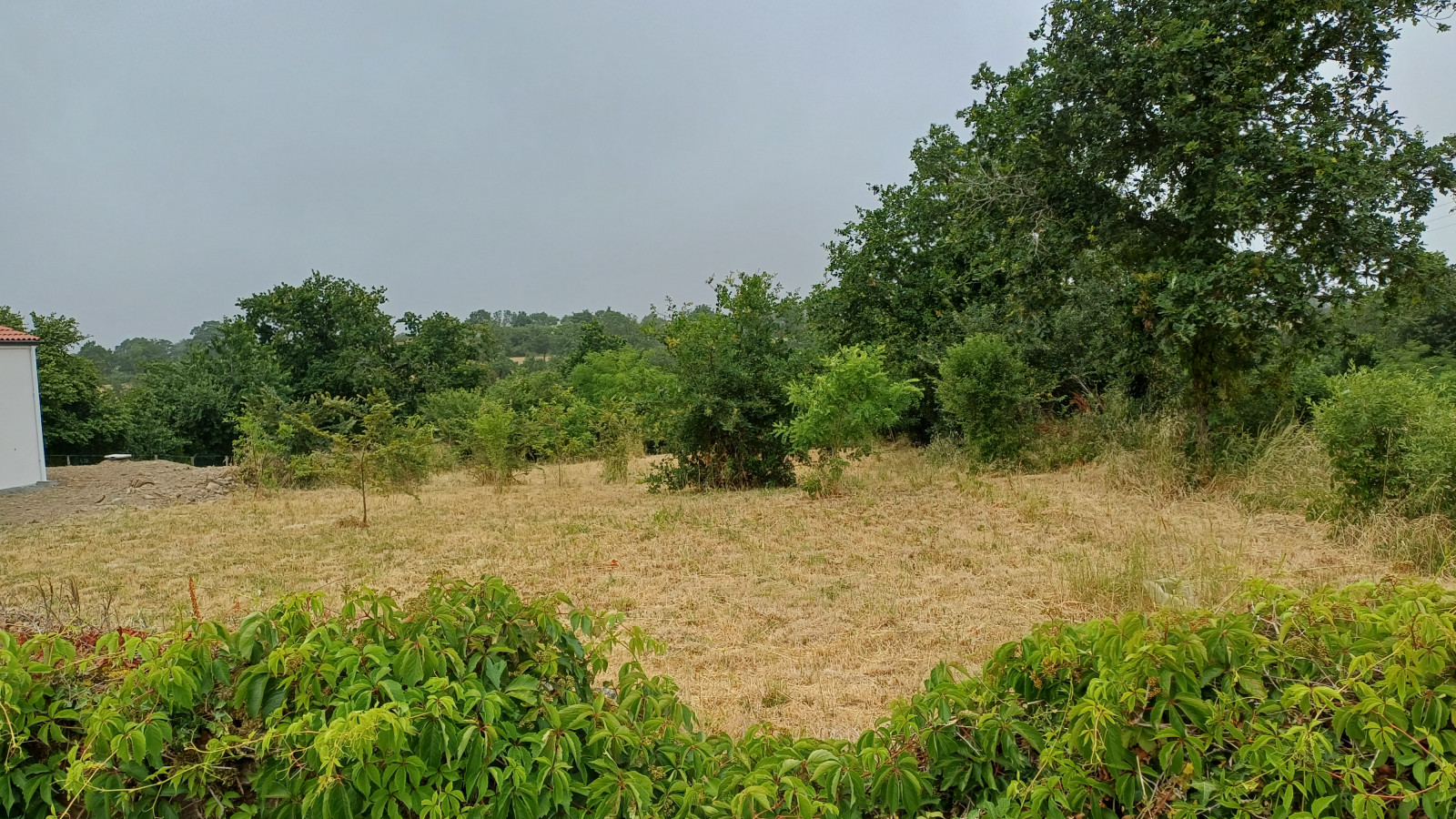 Terrain constructible de 800m2 à Rives de l'Yon