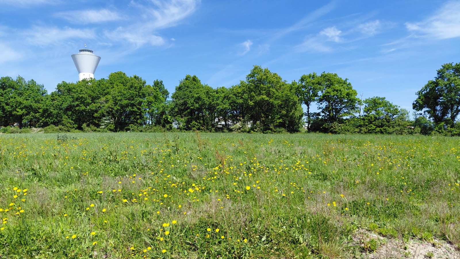 Terrain constructible de 973m2 à La Roche-sur-Yon