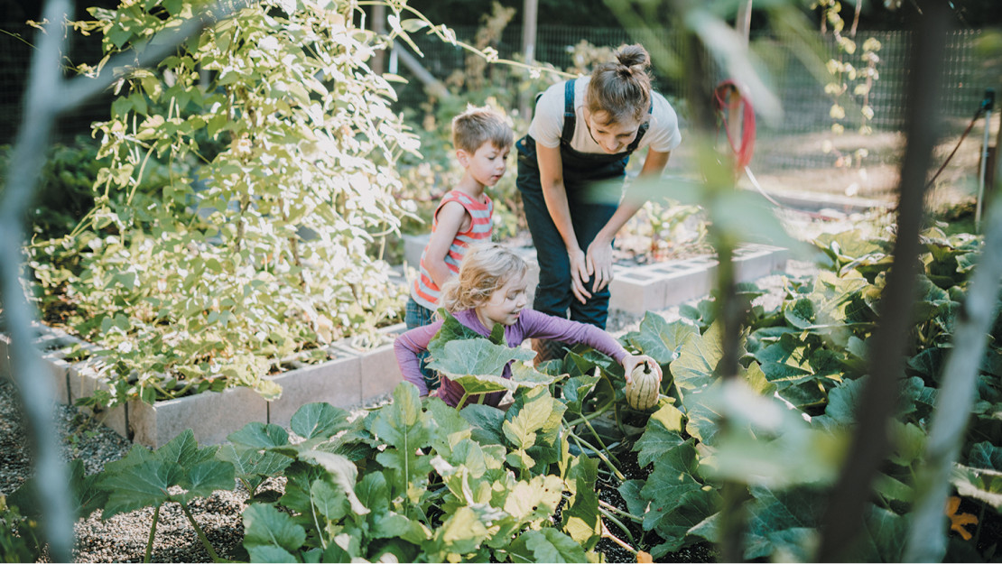 maison durable (1).jpg